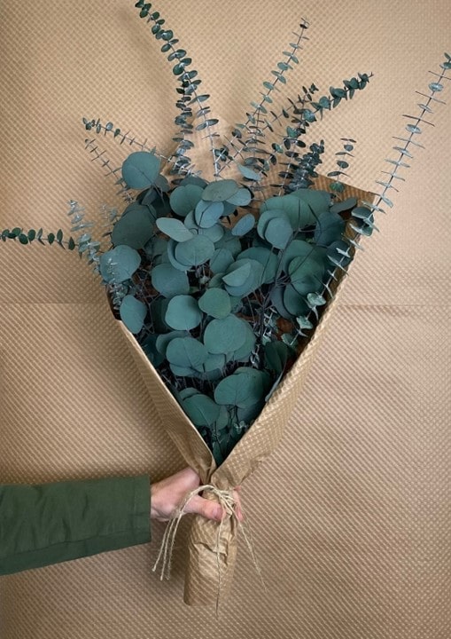 Preserved Eucalyptus bundle