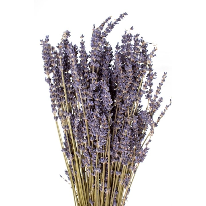 dried french lavender